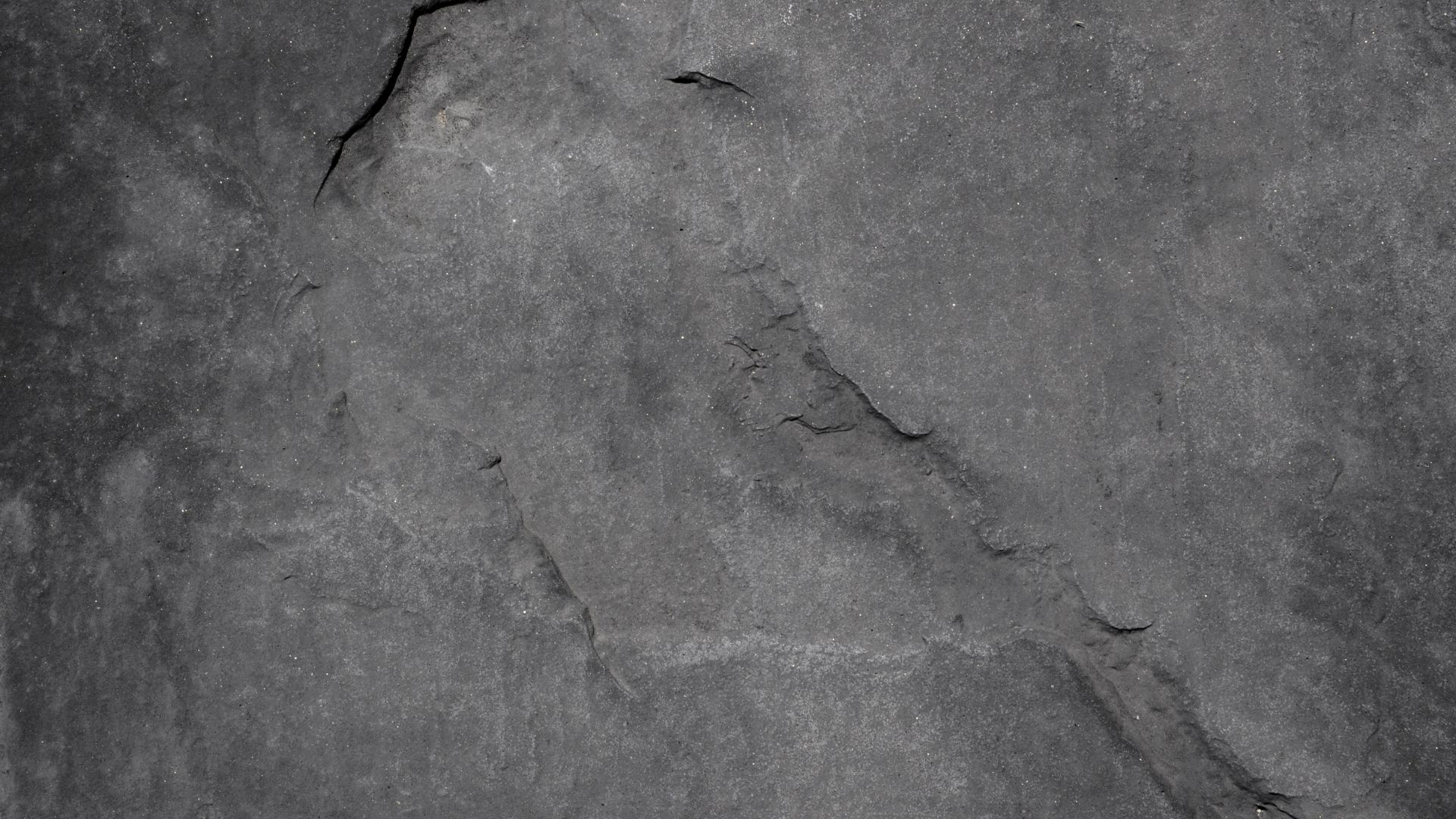 Case Study: FireBlocked365