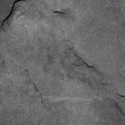 Case Study: FireBlocked365